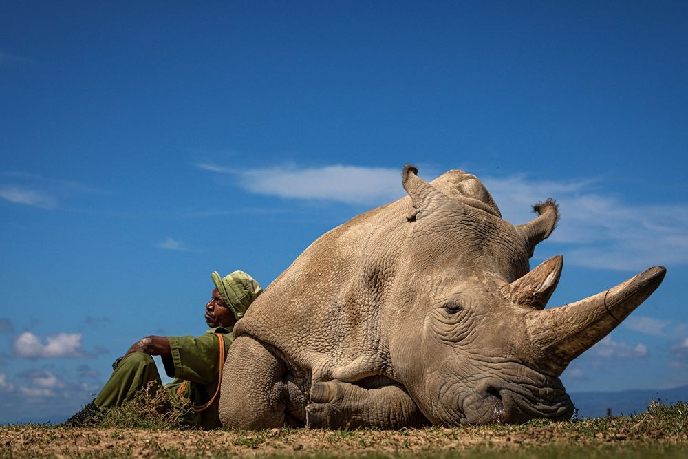 Matjaz Krivic, 2022 Travel Photographer of the Year winner