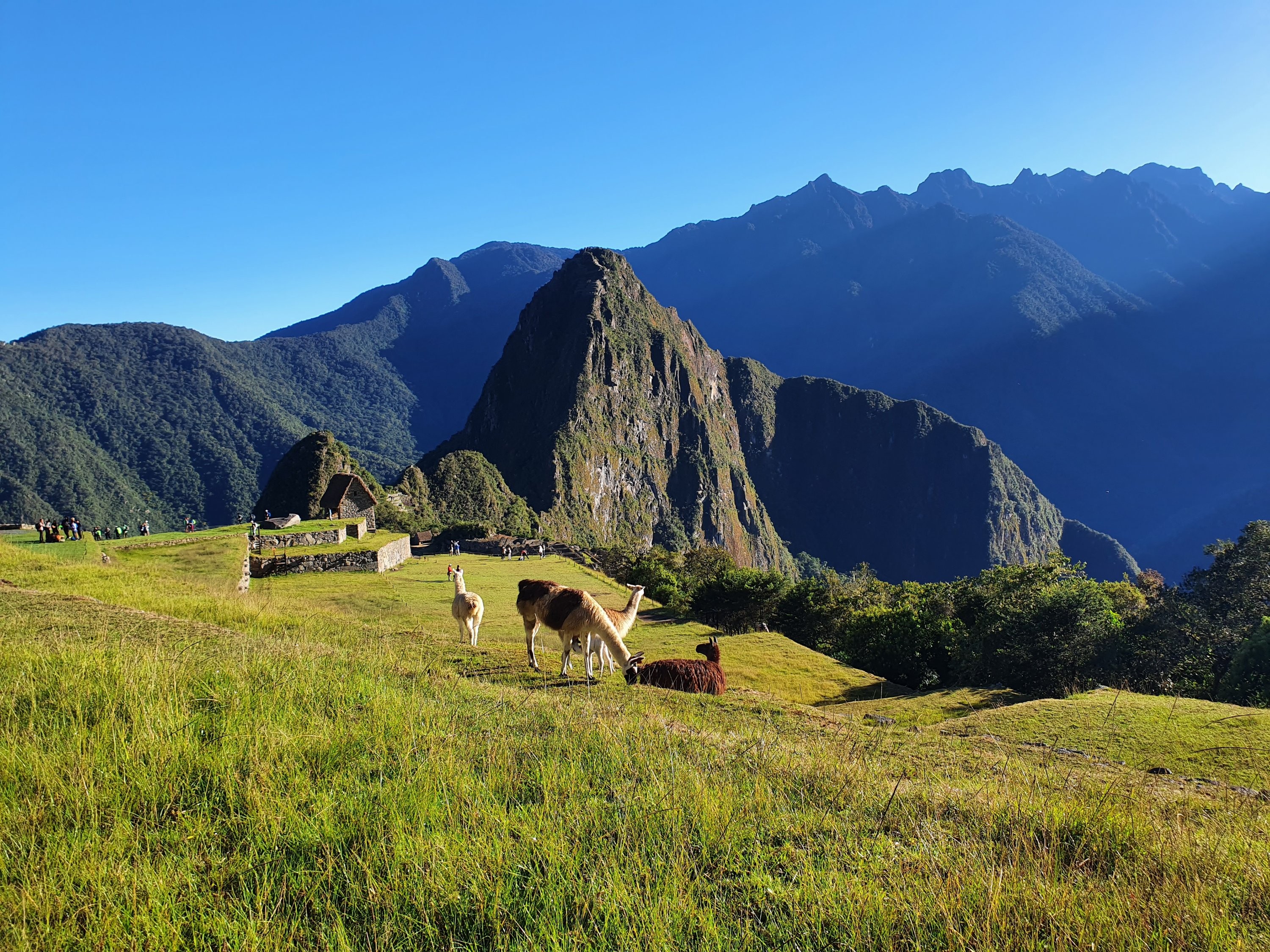 The iconic Huayna Picchu mountain rising above Machu Picchu, offering panoramic views for adventurous hikers.