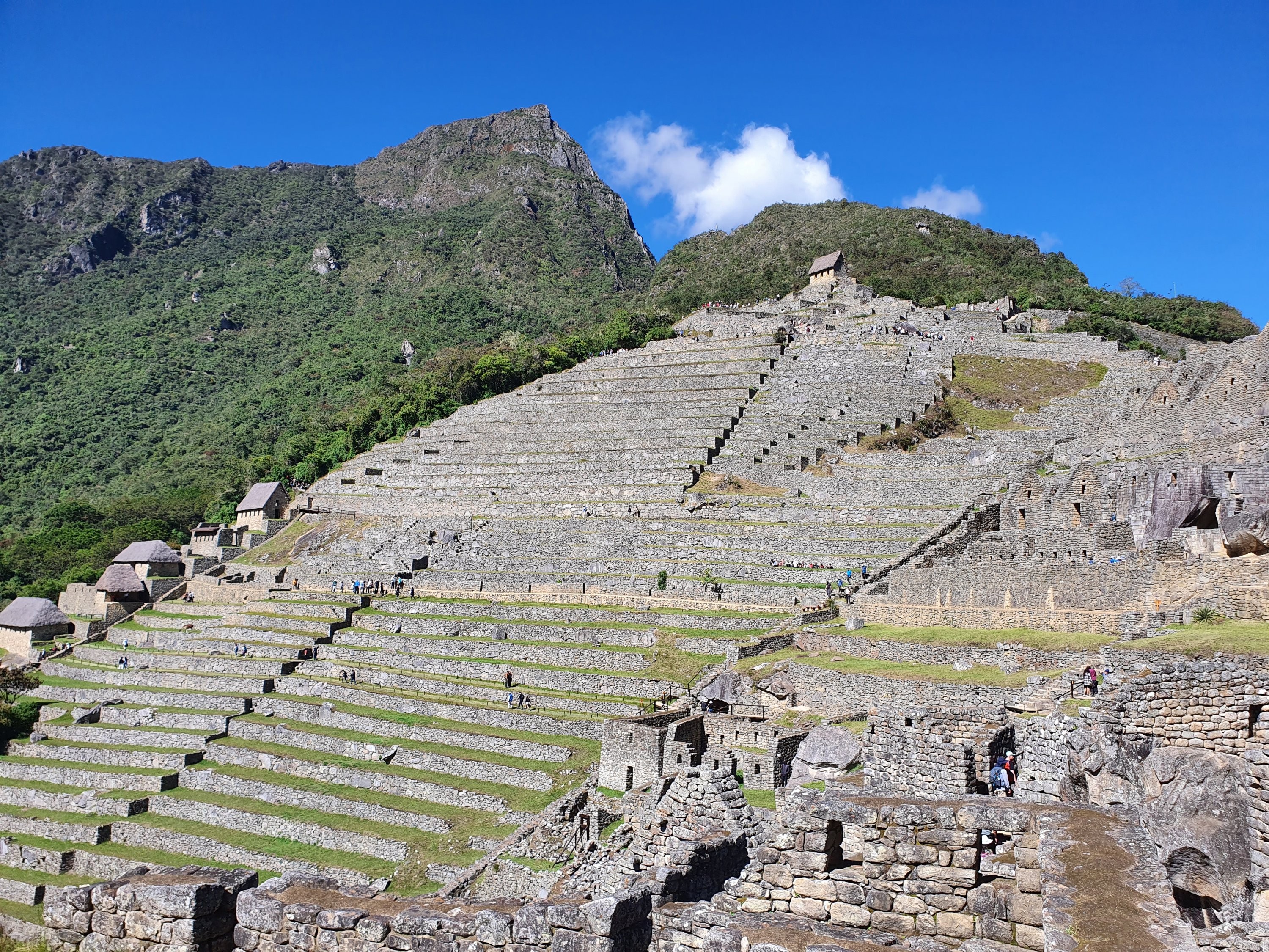 Machu Picchu citadel viewed from the Inca Trail, a highlight of a one-day Inca Trail hike experience.