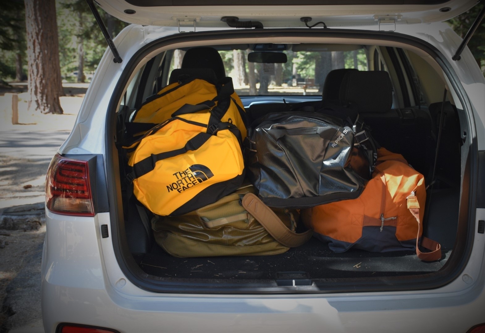 Versatile Patagonia Black Hole Duffel bag in airport setting