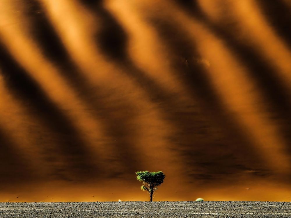 A scenic landscape photograph, winner in the Travel Photographer of the Year competition