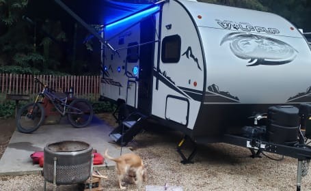 Image of a 2022 Travel Trailer Forest River RV Cherokee Wolf Pup Black Label 16BHSBL, available for RV rental near Joe's Travel Plaza.