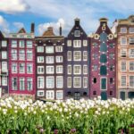 Amsterdam architecture with rows of tulips in the foreground