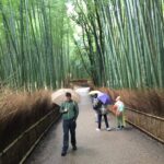 A serene path in a bamboo forest with a few people walking under umbrellas. The ground is damp, suggesting recent rain.