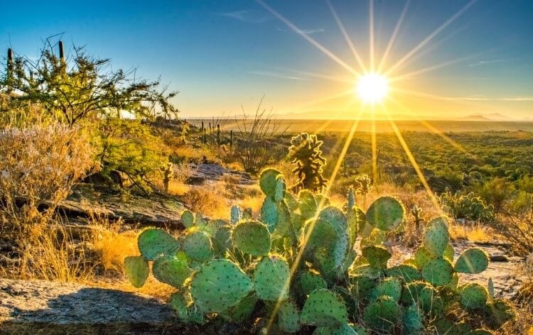 Sunrise over the Arizona desert