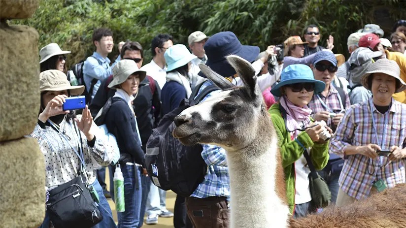 Image suggesting how to avoid crowds at Machu Picchu, showing a less crowded area of the site