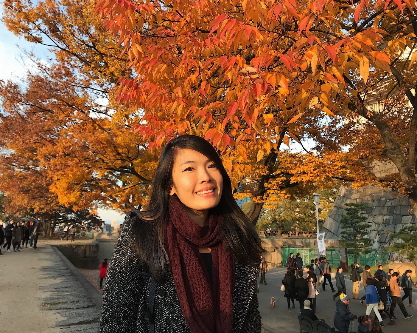 Osaka Castle in Autumn