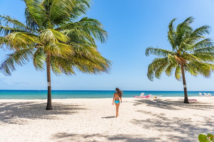 Turquoise waters and palm trees on a Barbados beach, an idyllic warm destination in February