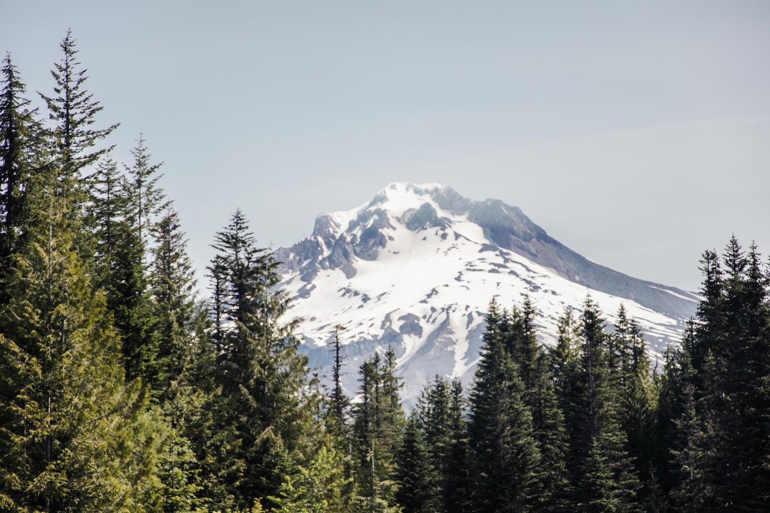 Mt. Hood