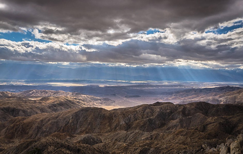 Joshua Tree Landscape