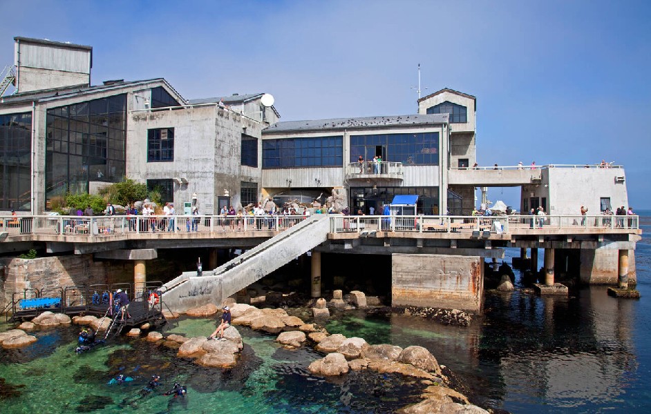 Monterey Coastline