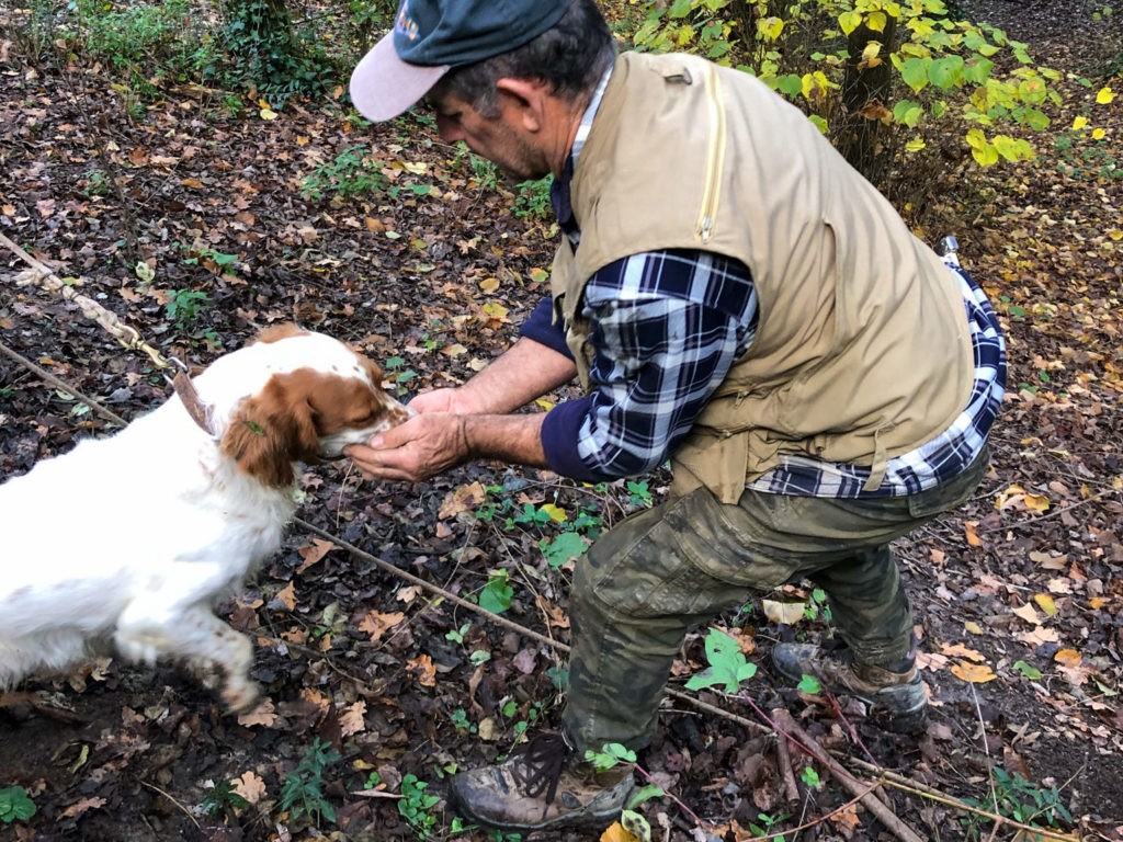 A truffle hunter rewards his dog with a treat in a woodland setting during a truffle hunt in Piedmont, Italy.