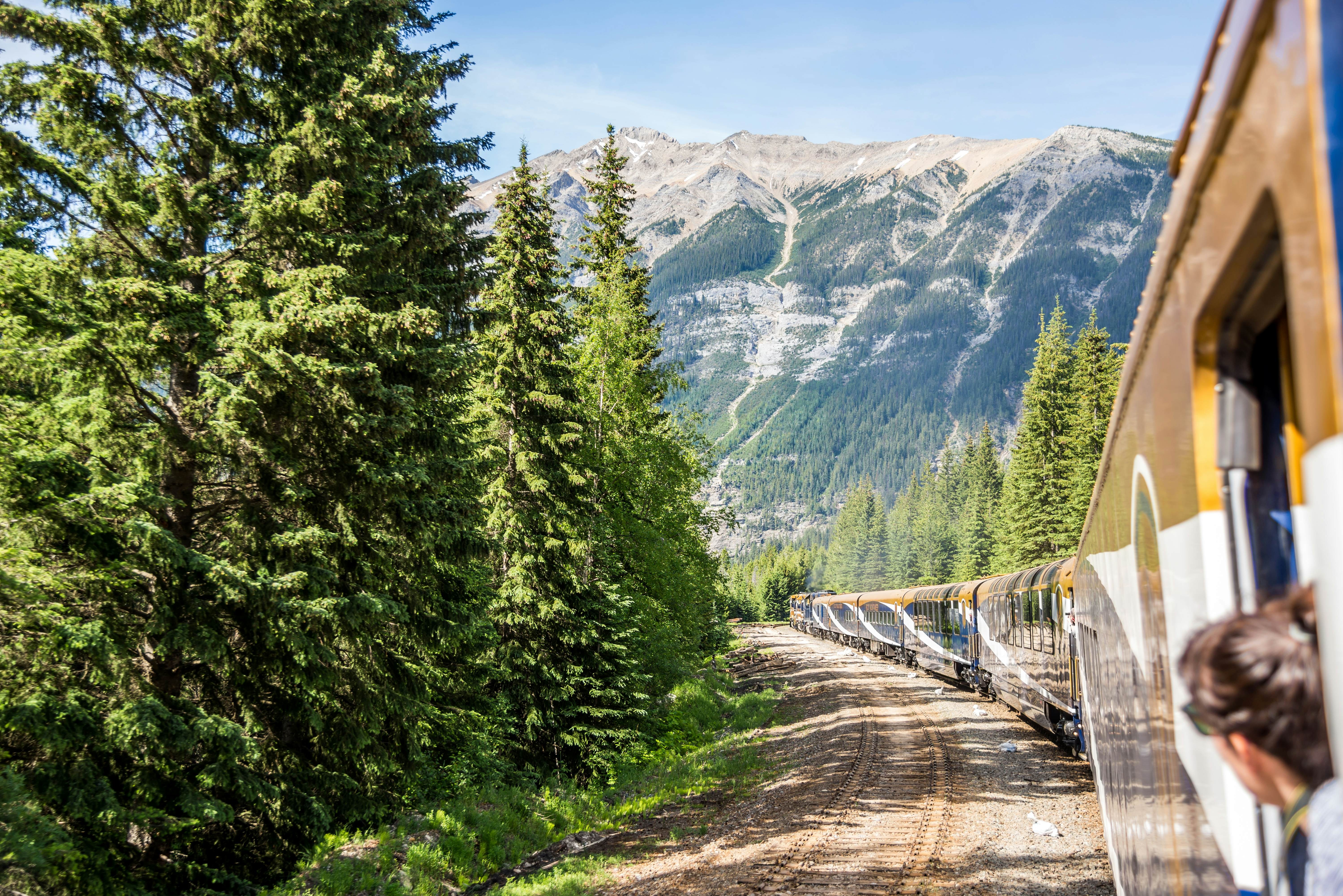 A traveler leans out of a train window in an open carriage to admire the panoramic mountain scenery.