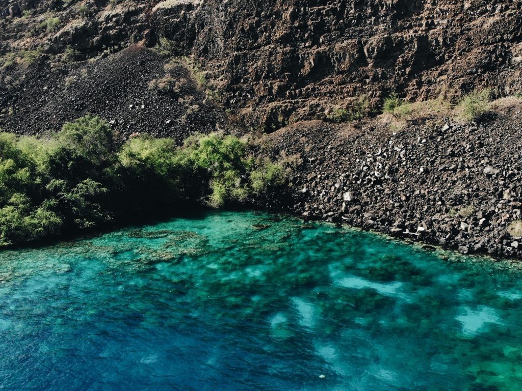 Snorkeling in clear Hawaiian waters