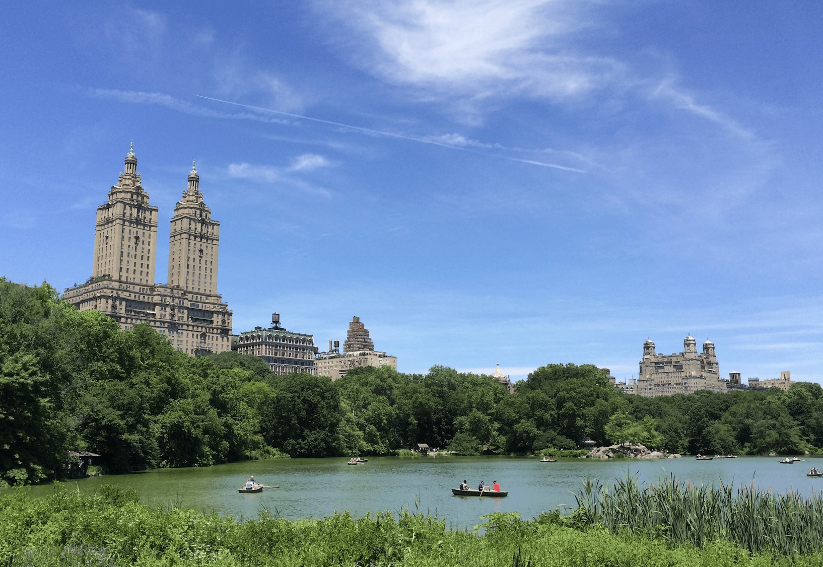 Serene pathways and lush greenery within Central Park, a perfect walking destination in New York City.