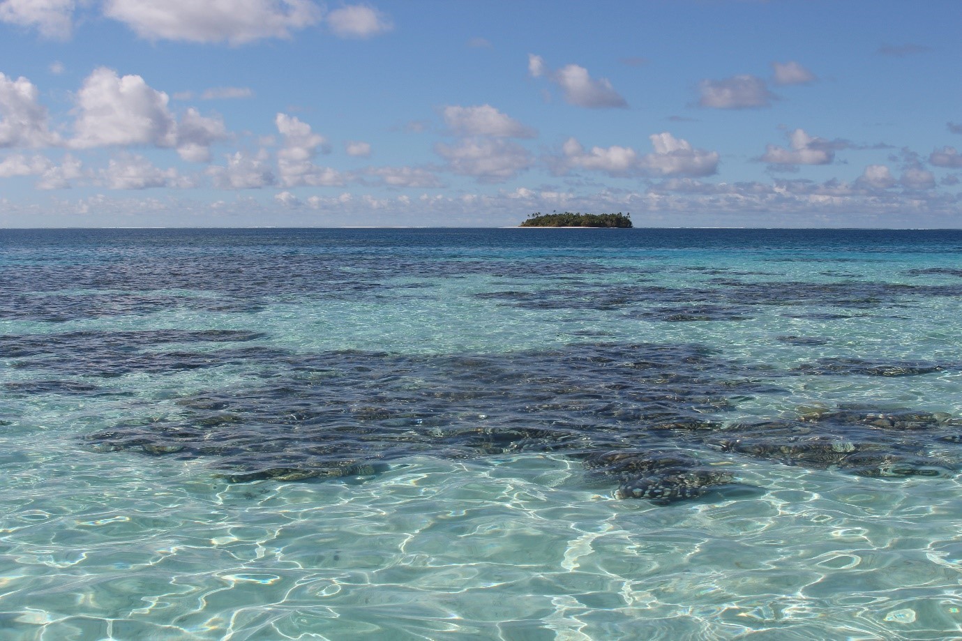 Vibrant coral reefs and clear turquoise waters of the Indian Ocean, showcasing the iconic marine biome often featured in travel posters.