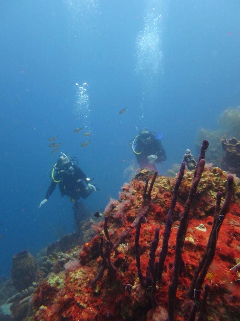 Divers exploring the underwater marine biome in St Lucia, highlighting the island's natural beauty and appeal for diving tourism.