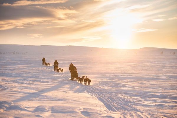 Dogsledding on the Finnmark Plateau. Photo: Holmen Husky Lodge.