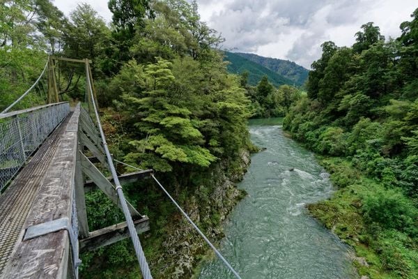 Rai River Swing Bridge, New Zealand