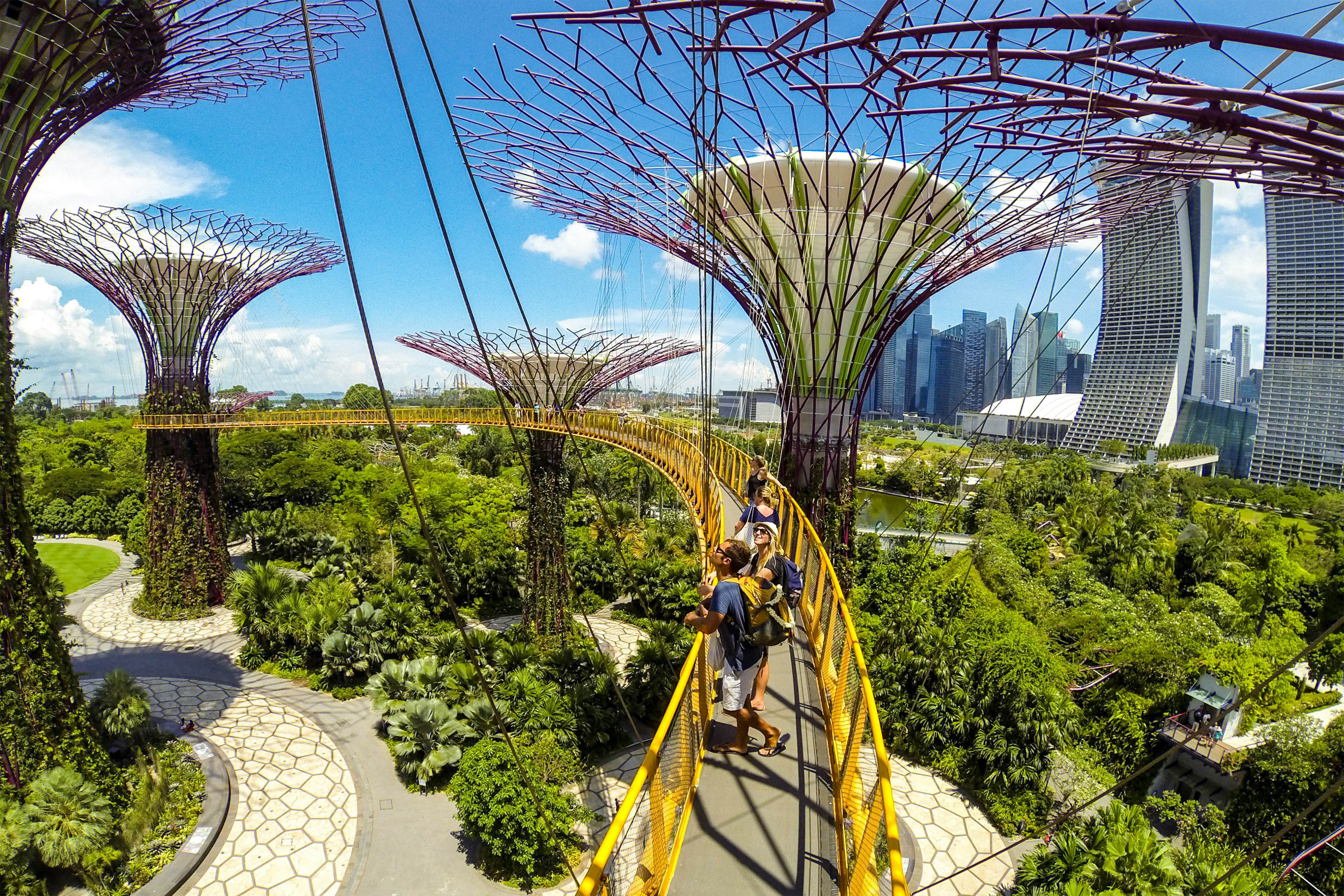 Singapore's Gardens by the Bay showcases futuristic Supertrees against the backdrop of a modern cityscape