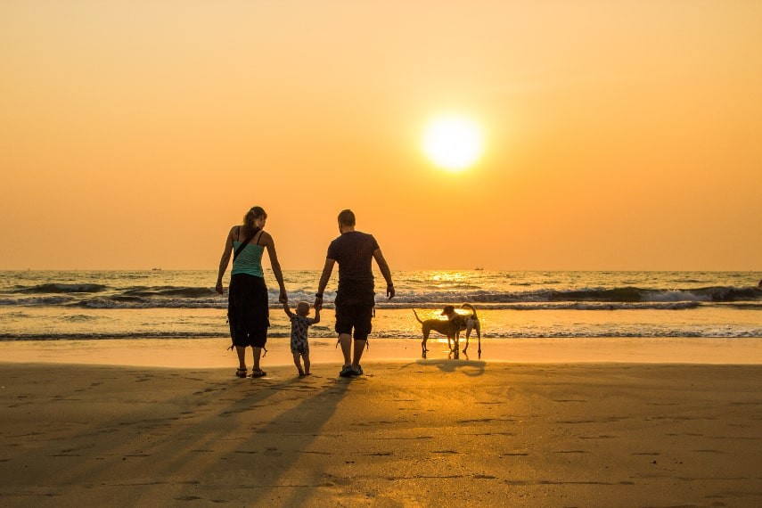 Palm-fringed beach in Goa, India, a vibrant and warm destination in February