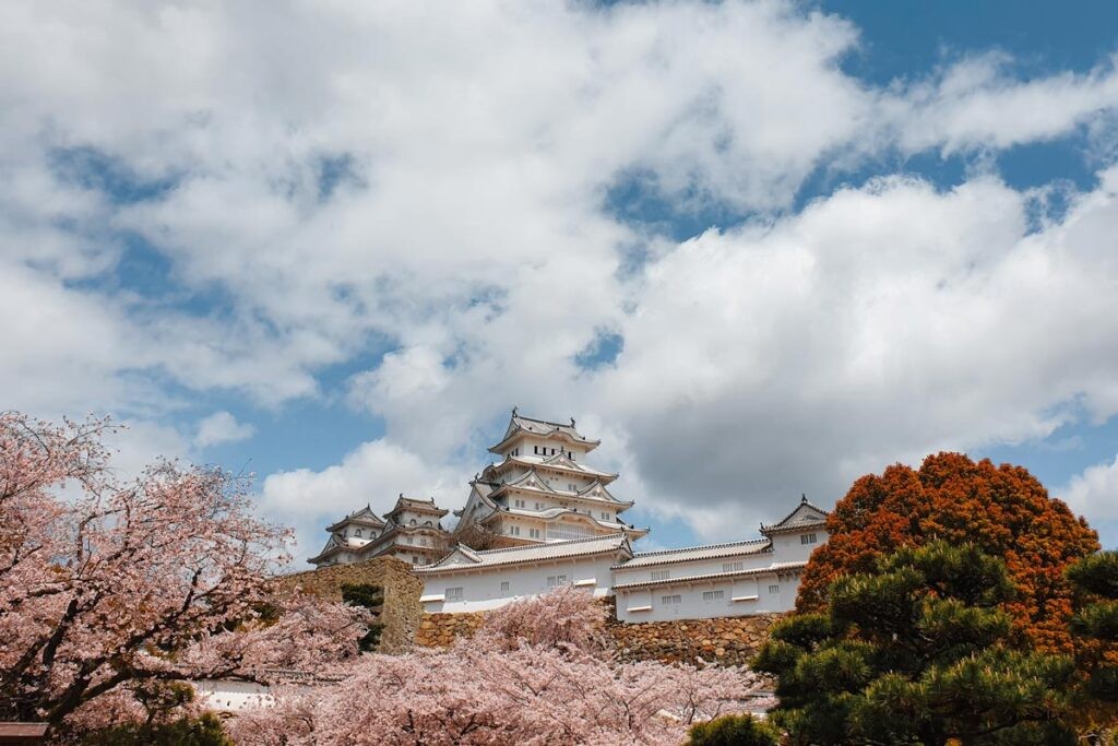 Himeji Castle in spring, surrounded by cherry blossoms