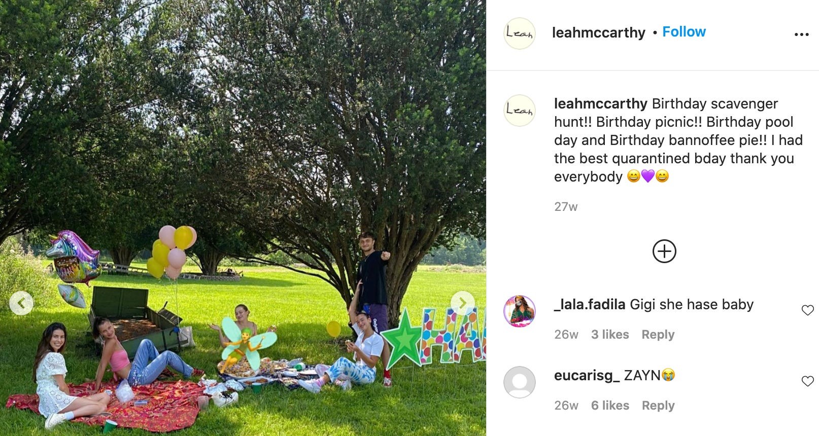 Hadid family picnic at their Pennsylvania farm in July 2020, Dua Lipa and Anwar Hadid present