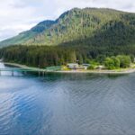 Two cruise ships docked at a scenic harbor surrounded by mountains, showcasing the Alaskan wilderness.