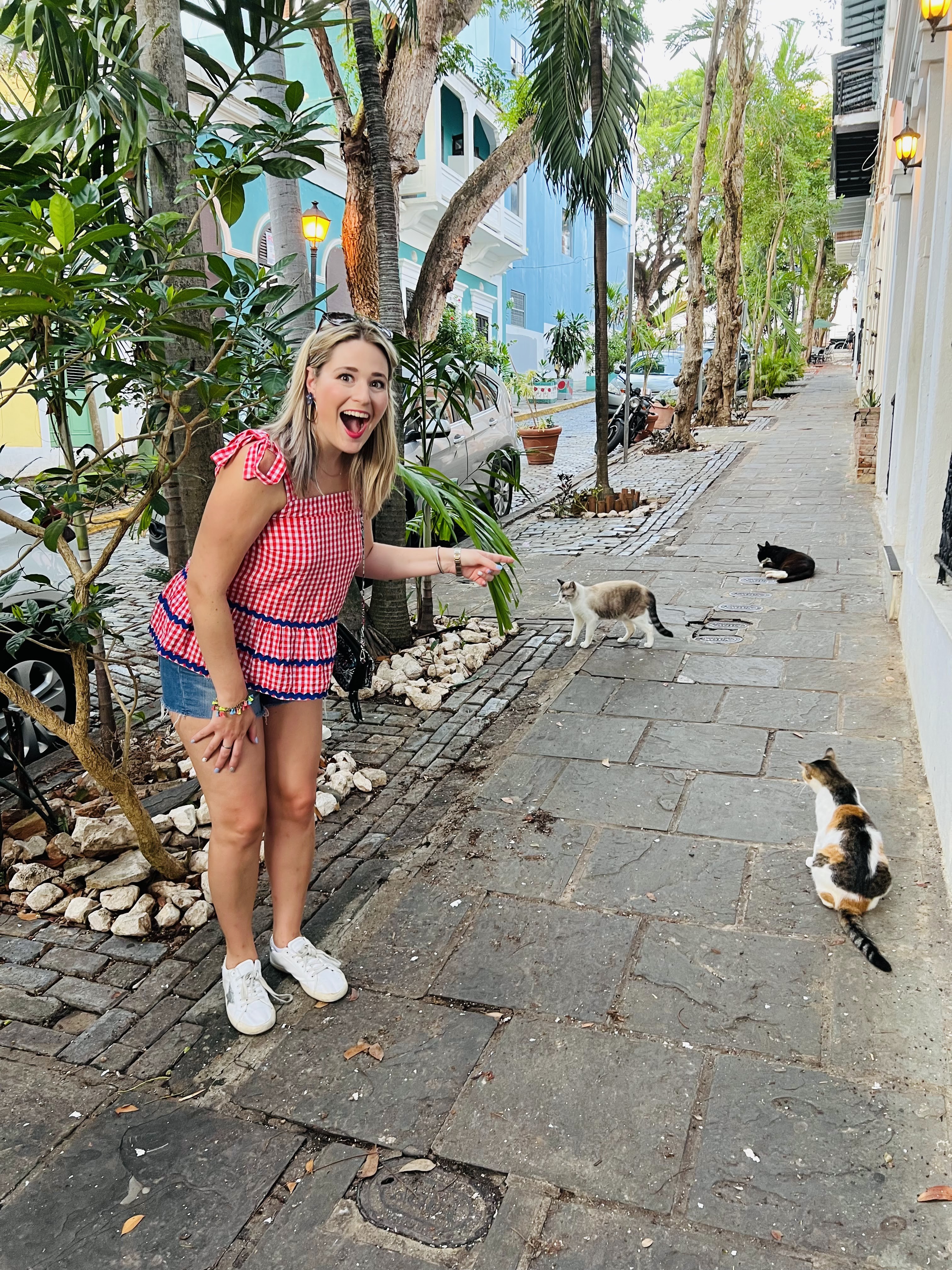 Cat relaxing in Old San Juan