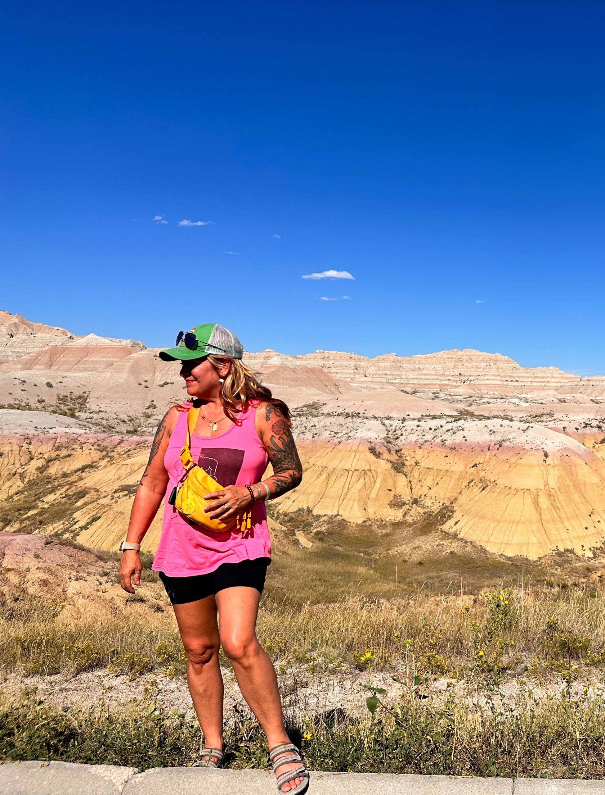 Baboon to the Moon fanny pack in Badlands