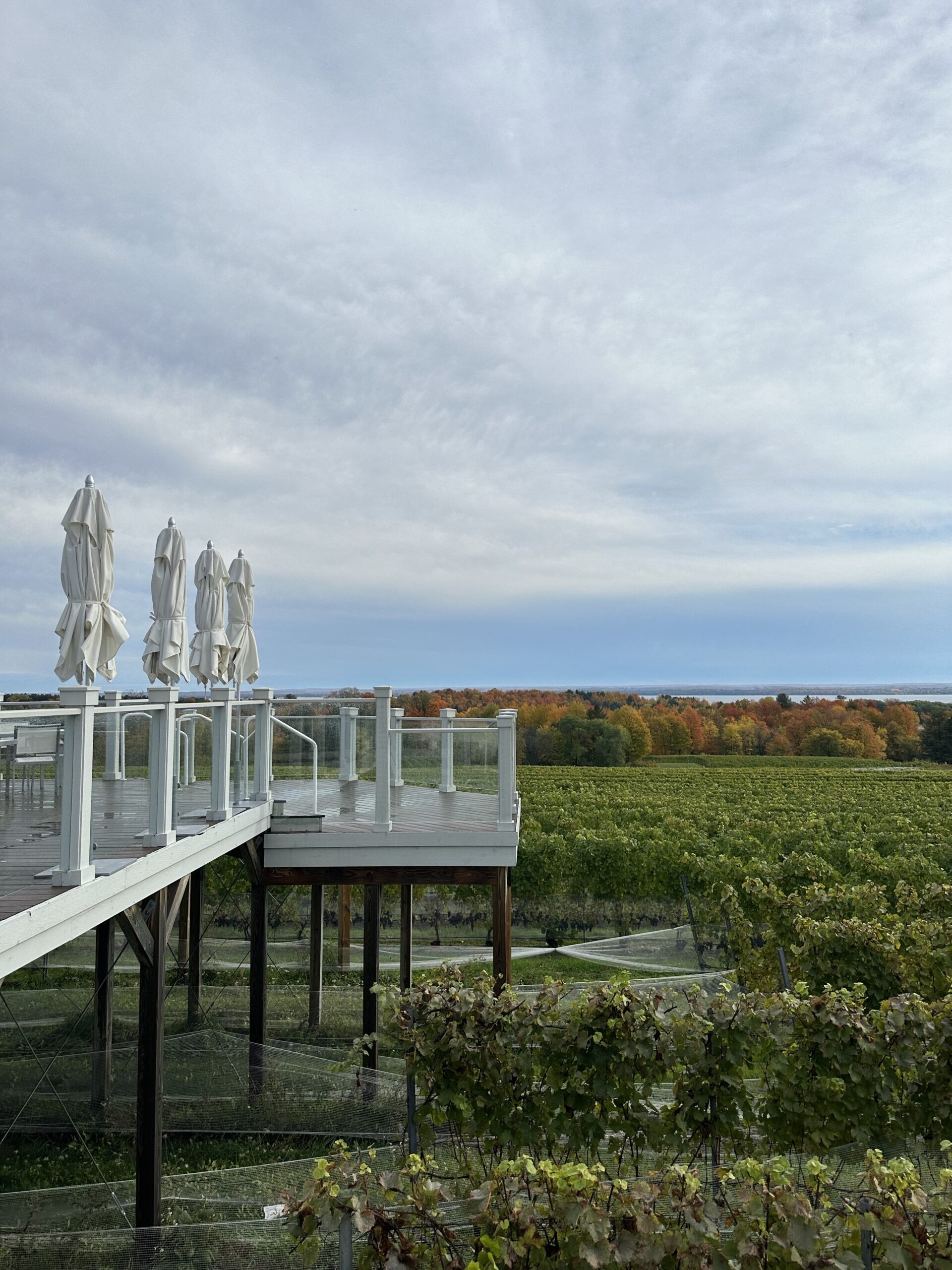 People enjoying wine tasting with bay views at Brys Estate Vineyard, Traverse City