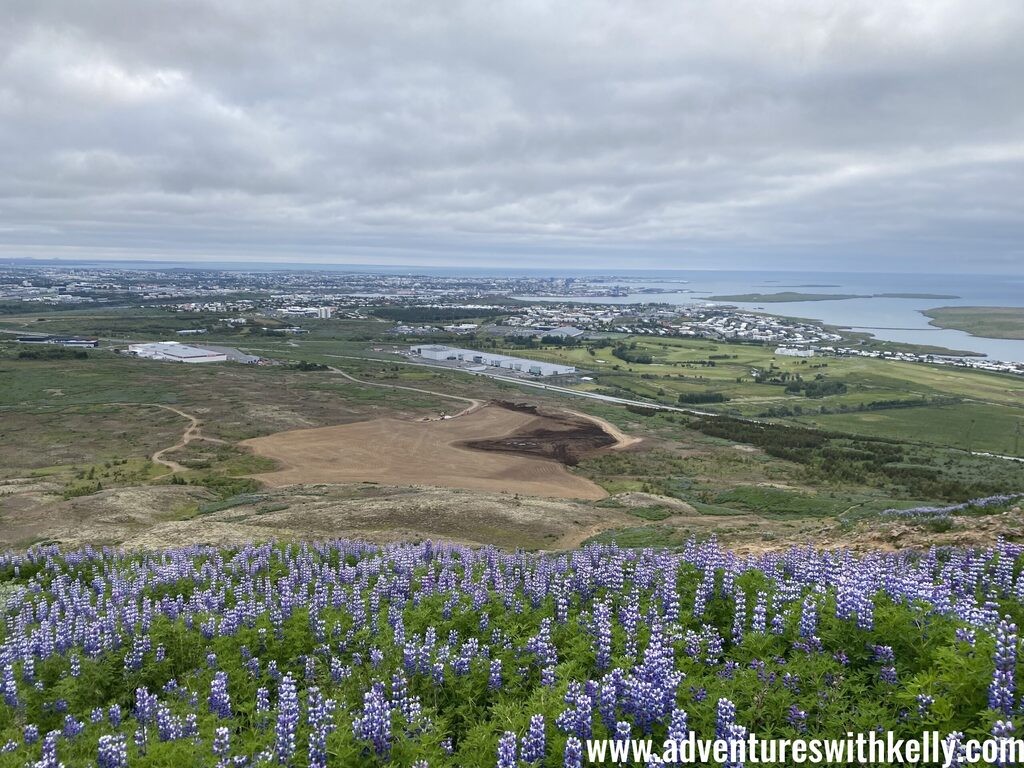 Hiking Mount Ulfarsfell with views of Reykjavik in the distance.