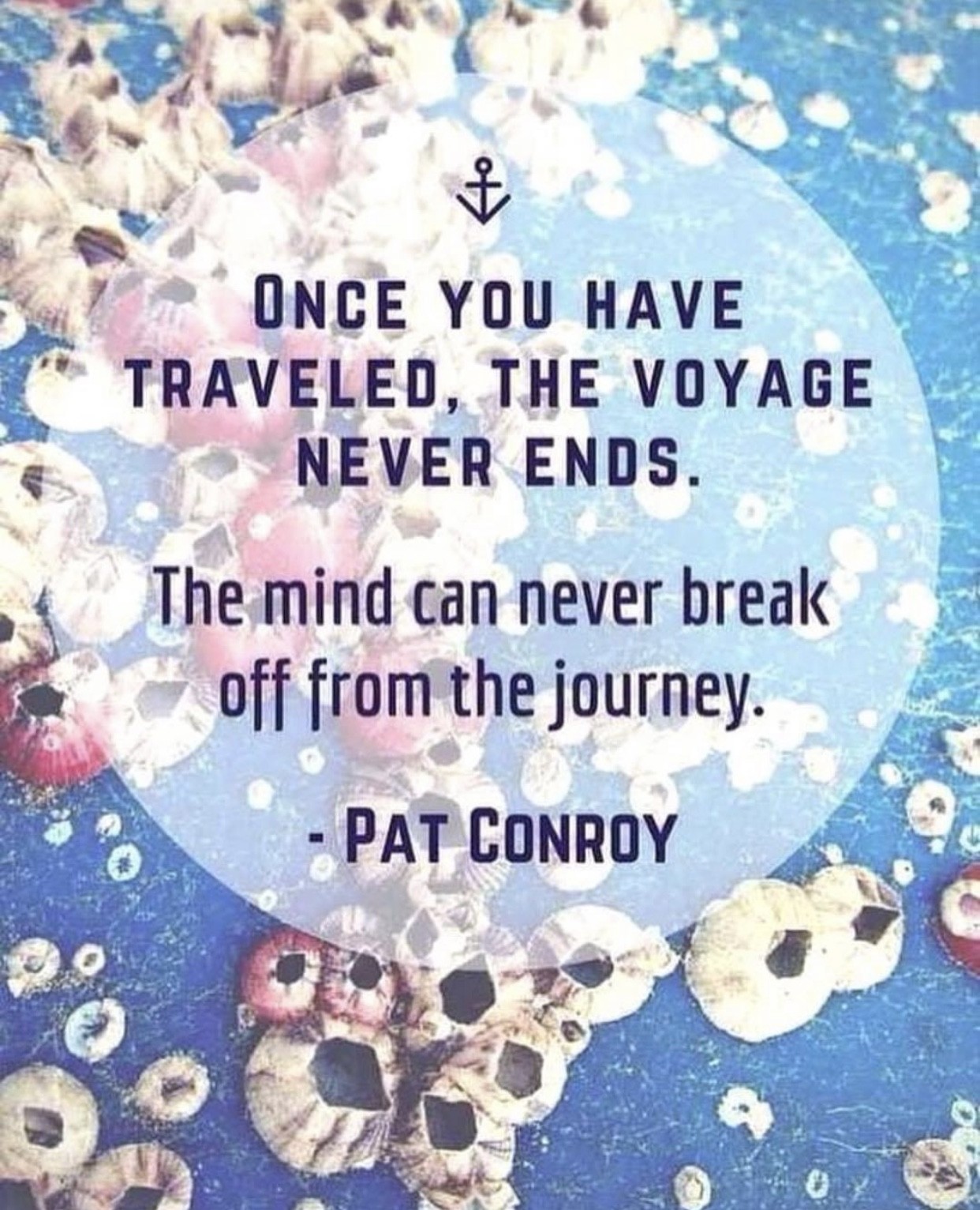 Pat Conroy quote on the journey changing you