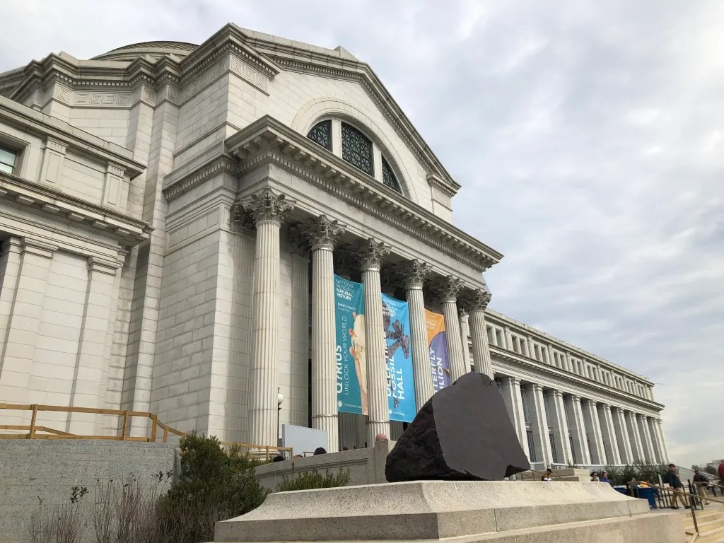 Hall of Mammals exhibit at the Smithsonian Museum of Natural History, a popular attraction in Washington DC