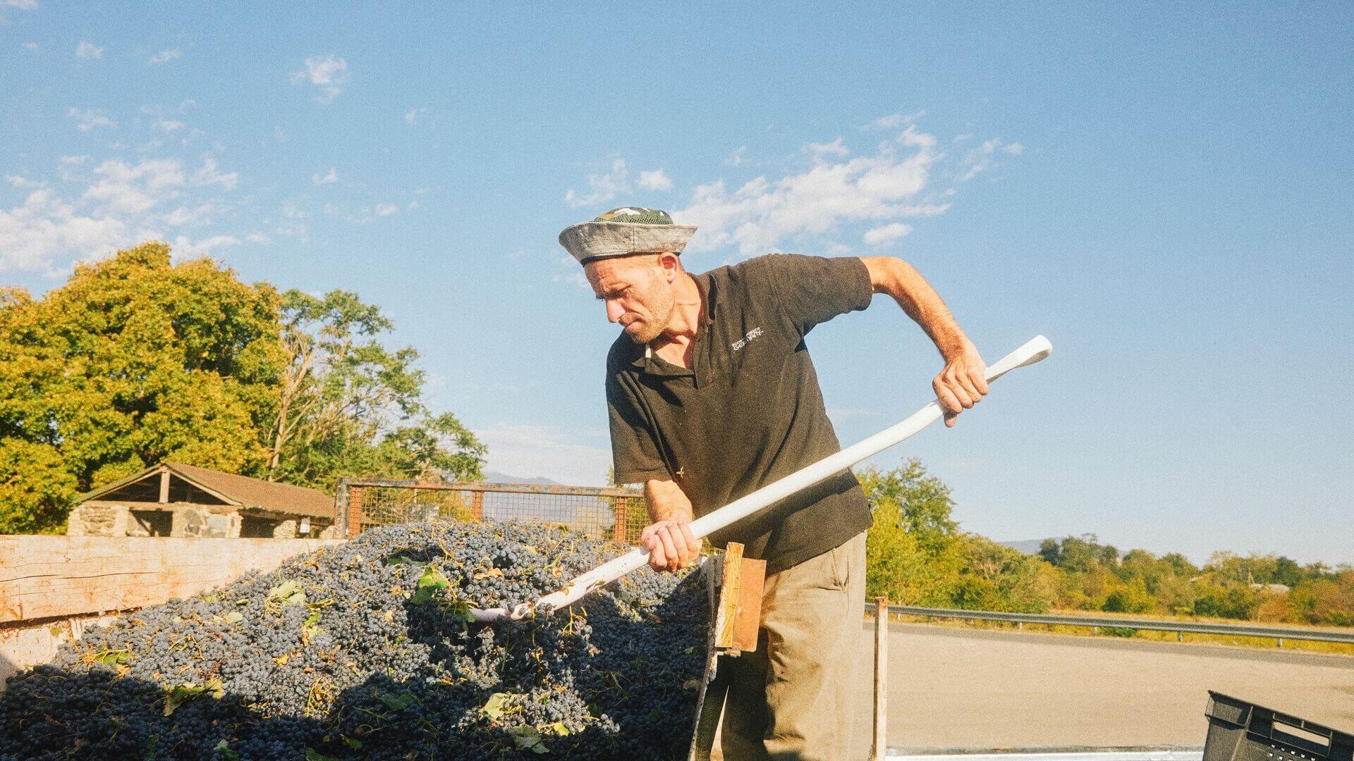 A winemaker stirring grapes in a traditional Qvevri in Kakheti, showcasing the ancient Georgian winemaking process.