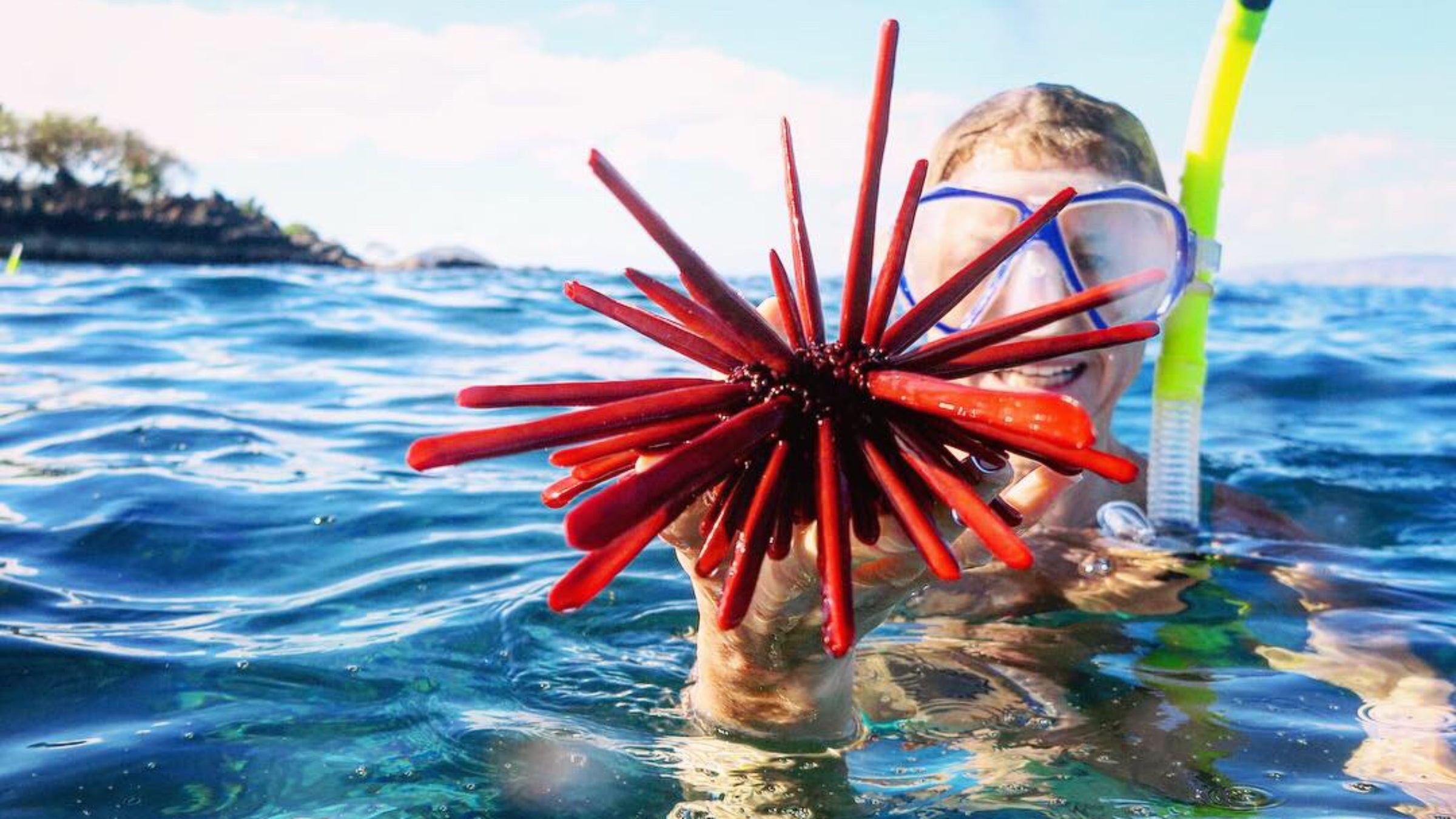 The author in the ocean just off Maui, holding a red starfish in one hand.