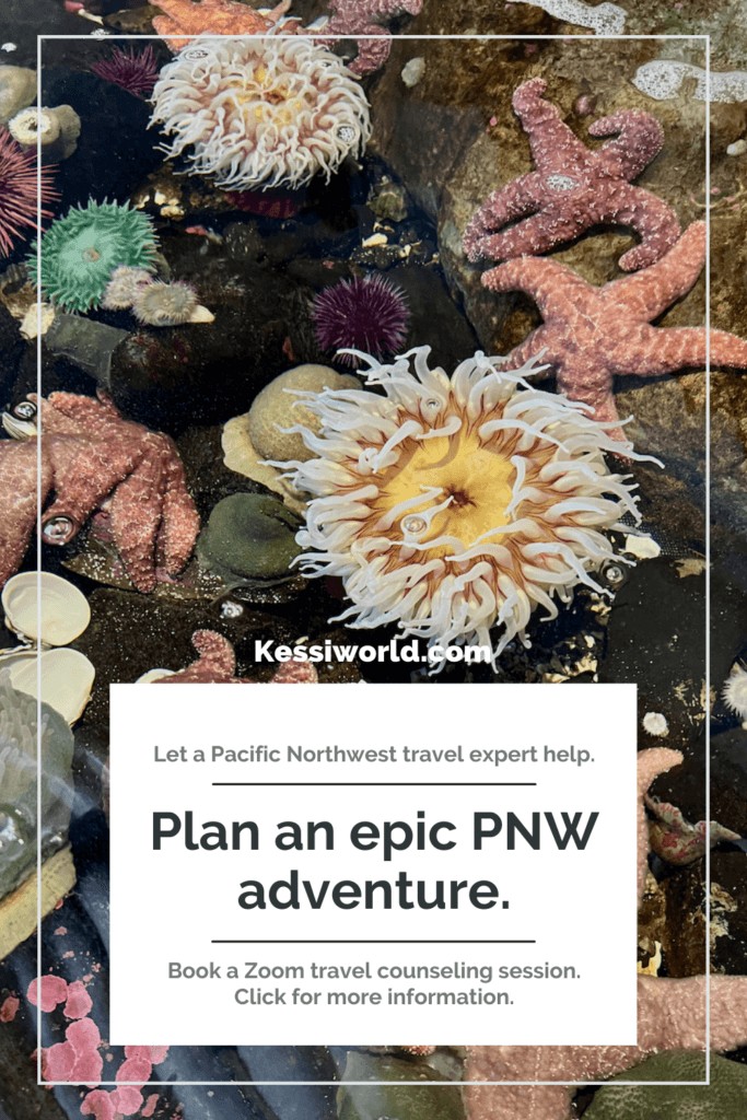 A tile promoting Pacific Northwest travel planning services, featuring tide pools with anemones and starfish, and offering expert zoom travel counseling.