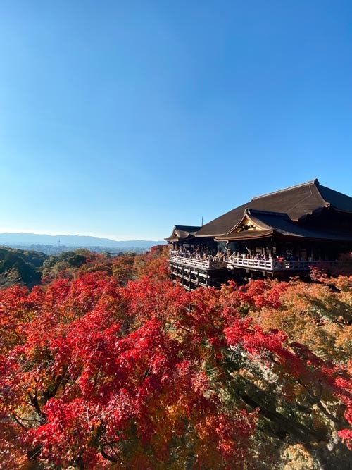 Kiyomizu-dera Temple in Kyoto during autumn, showcasing vibrant foliage