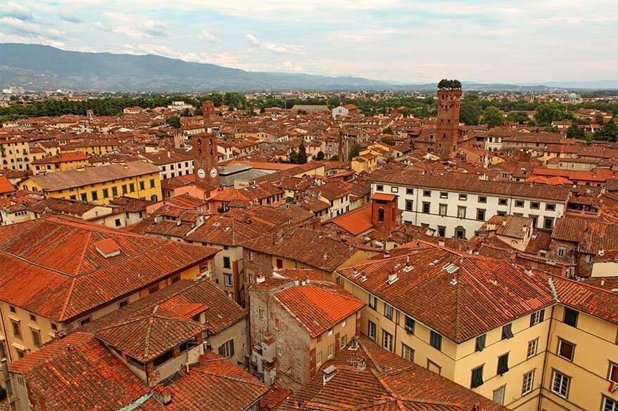 Guinigi Tower viewed from Torre Delle Ore in Lucca, Italy