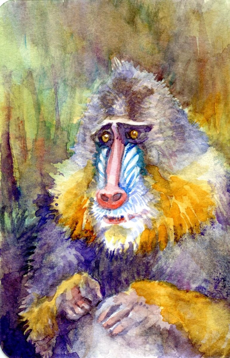 Watercolor painting of monkey by Sandra Strait