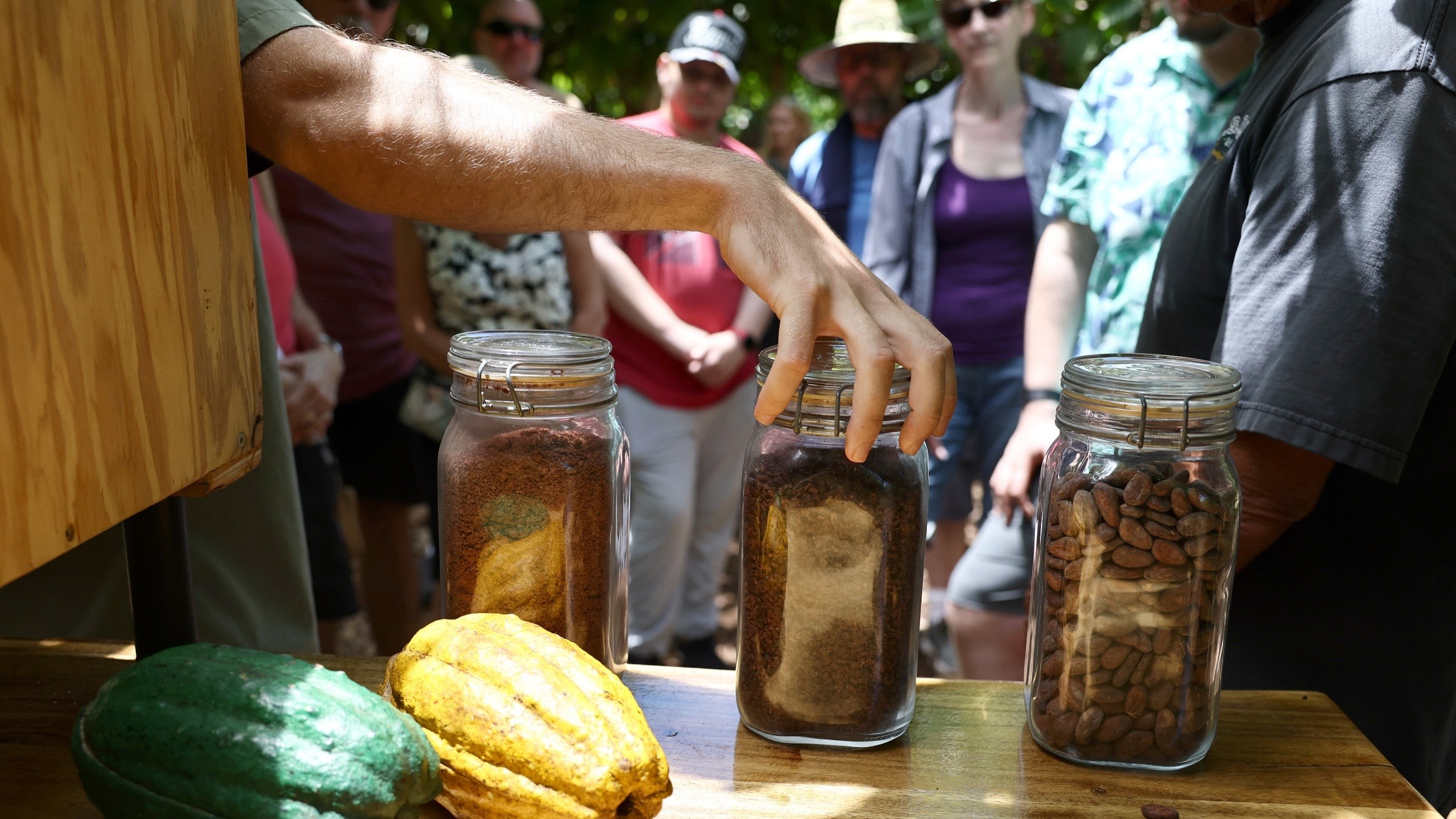 A group gathers in front of a table showing cacao pods and various forms of cacao at Maui Ku’ia Estate