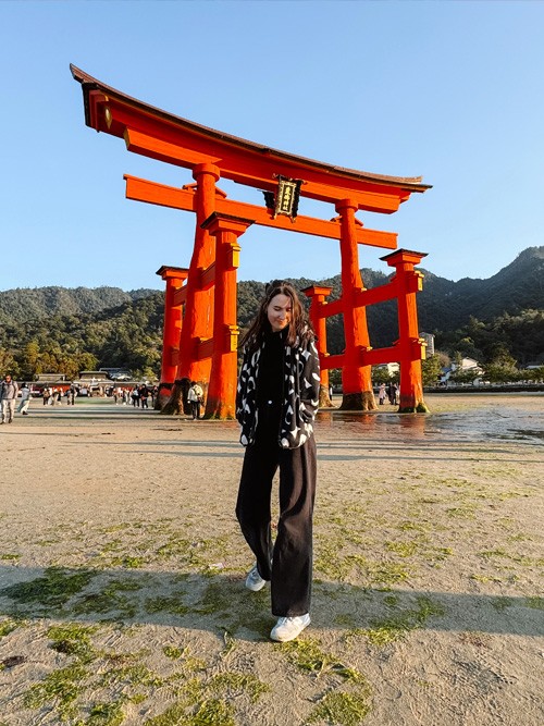 Miyajima torii gate at high tide, appearing to float on water