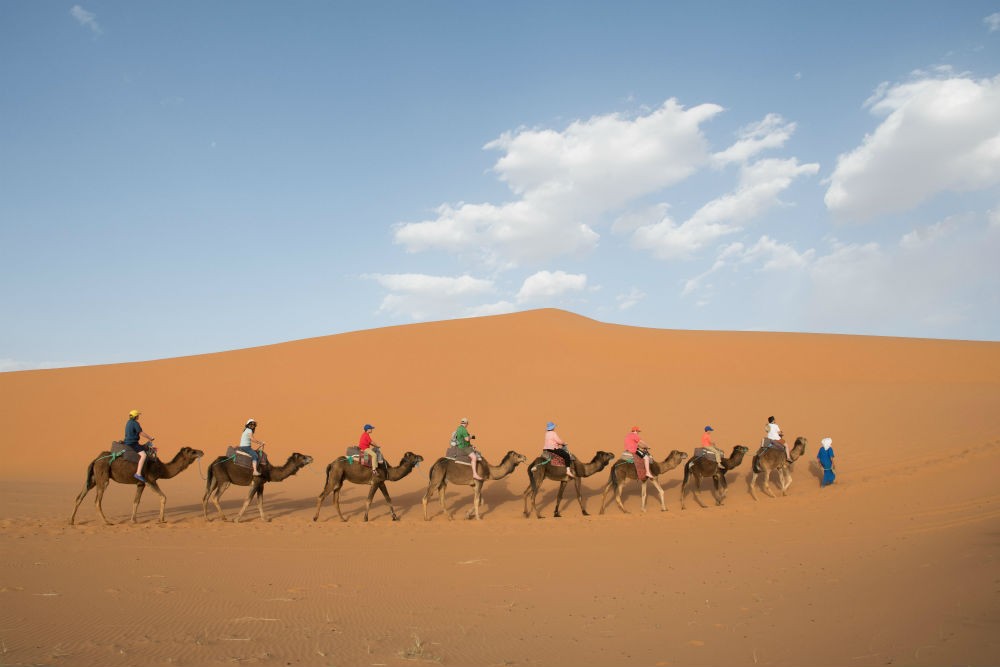 A camel trek traversing the Sahara Desert in Morocco, with a line of camels and riders silhouetted against the vast expanse of sand dunes under a clear blue sky, capturing the adventurous spirit of desert exploration