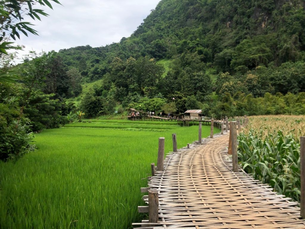 Na Ku Ha, Phrae, Thailand (all photos courtesy of Daniel Fraser)