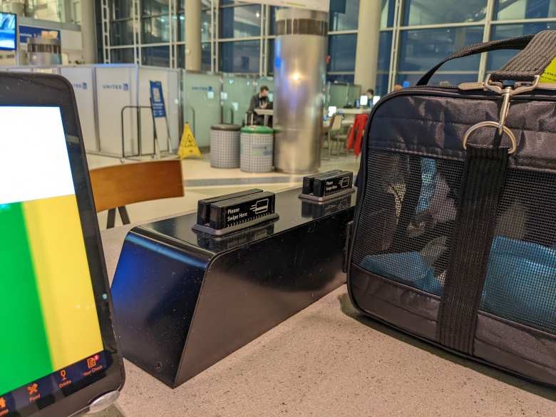 Oreo in a Sherpa Original Deluxe pet carrier in the Newark International Airport.