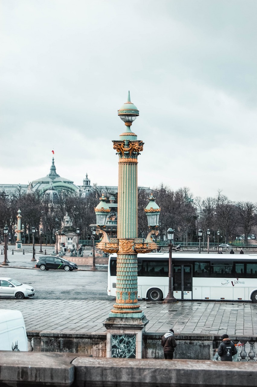 Tuileries Garden in bloom