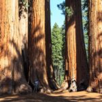 Discover the Best Places to Travel in California