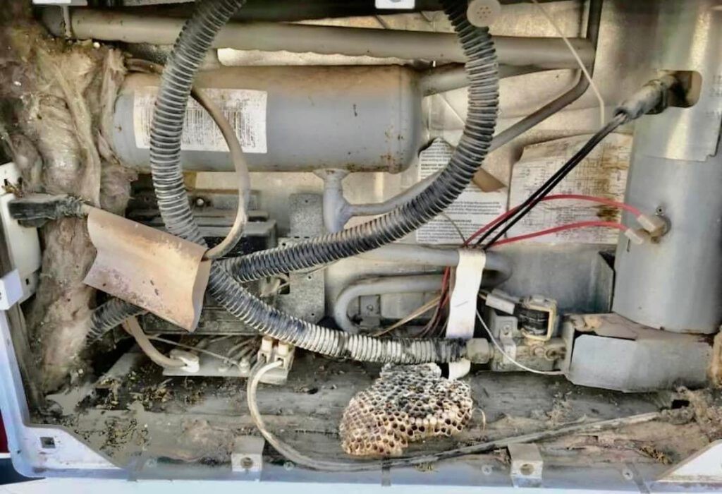 Dirty and bug-infested RV refrigerator components, highlighting the importance of cleaning during travel trailer fridge repair maintenance.