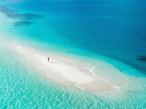 A sandbank in the Maldives. Photo: Secret Paradise.