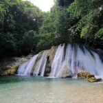 A waterfall cascades down into a pool in an area with dense foliage